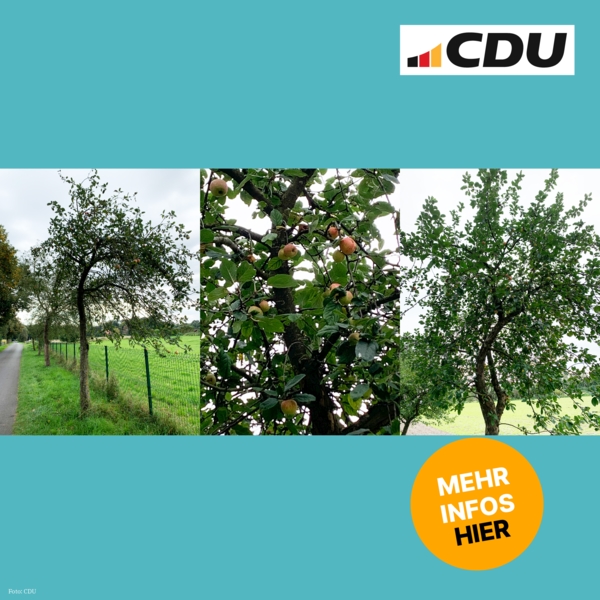 Copyright: CDU Delbrück
Obstbäume an der Heustraße